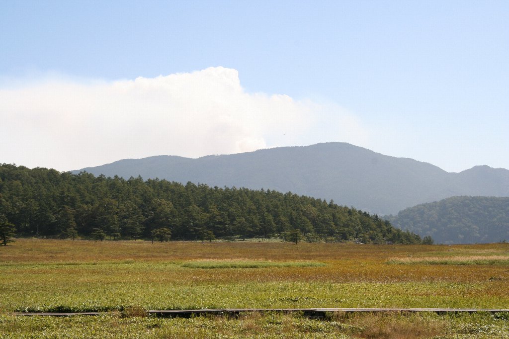 池の平湿原に寄ってみました 花はほとんど無く　ひとも少ない　静かな高原でした